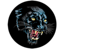 Panther Power Boots